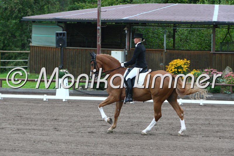 009M7719_Bonito_Dressur M.JPG